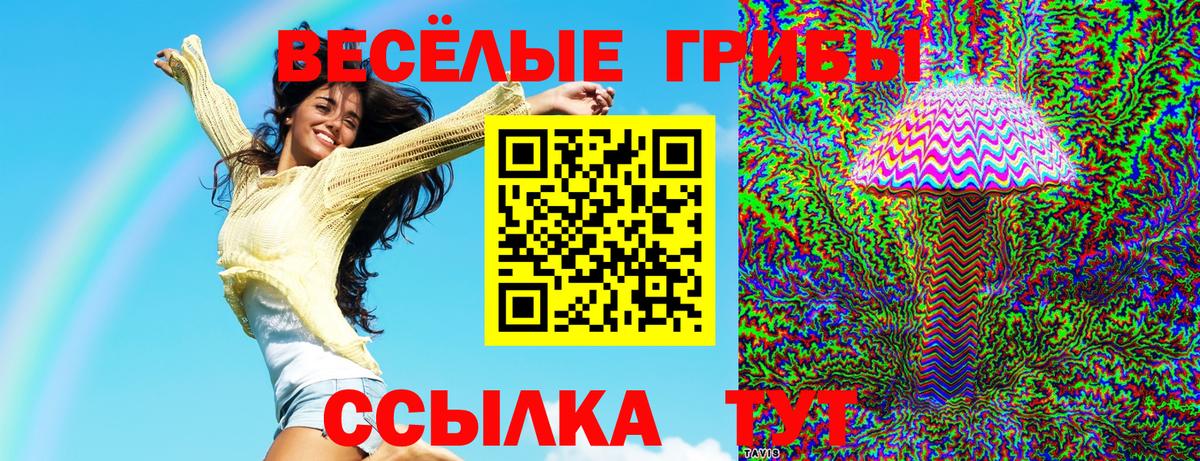 Галлюциногенные грибы прущие грибы Углич
