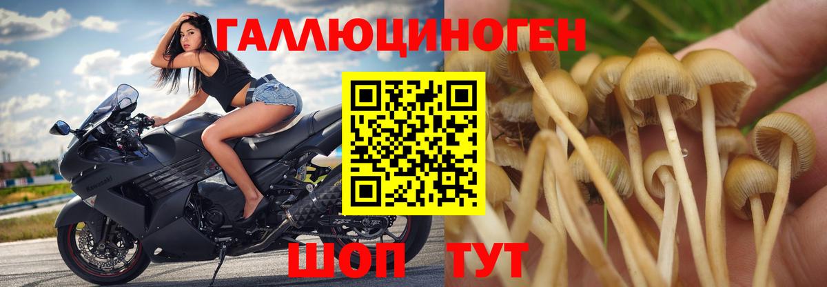 Углич  Псилоцибиновые грибы ЛСД  Вход с VPN  Псилоцибиновые грибы Cubensis 